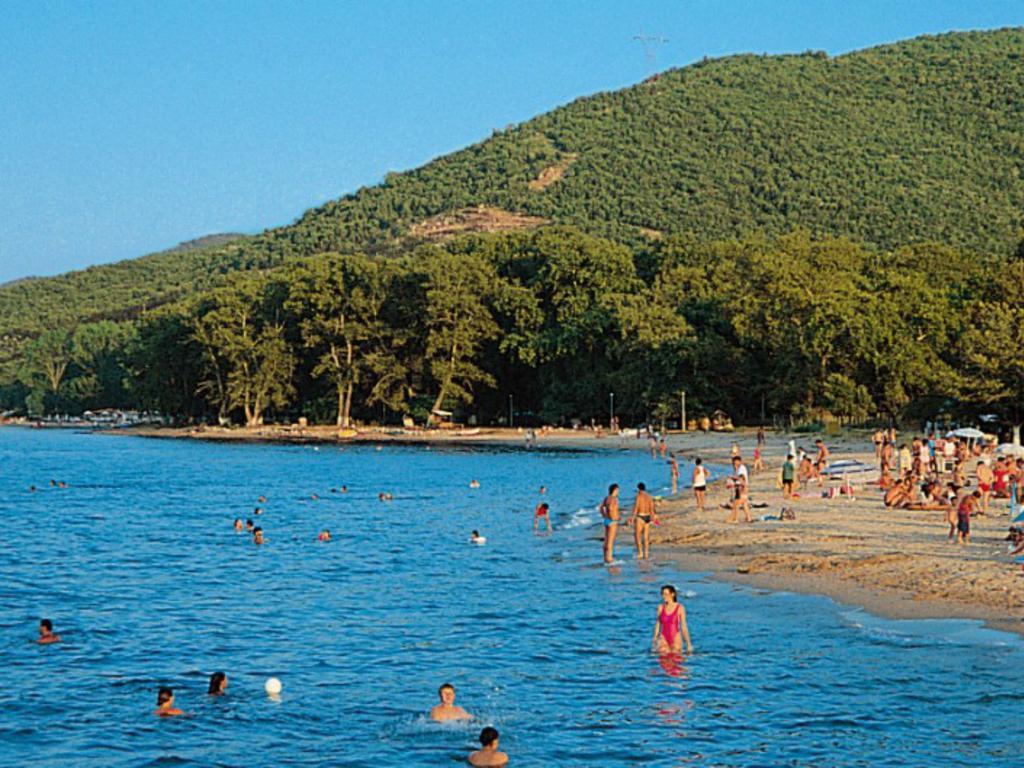 الشقق الفندقية ستافروسفي  Stefanidis Platani Beach المظهر الخارجي الصورة